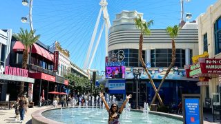 Top Things To Do In Las Vegas - Ride the High Roller Observation Wheel