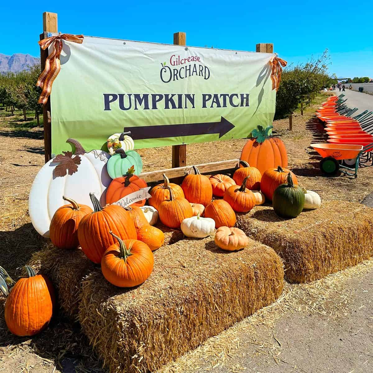 Things To Do In Las Vegas In October Vegas Right Now!